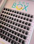 Lashbox DIY / Cluster/ Segment lashes Home Kit-Style 11