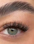 Lashbox DIY / Cluster/ Segment lashes Home Kit-Style 11