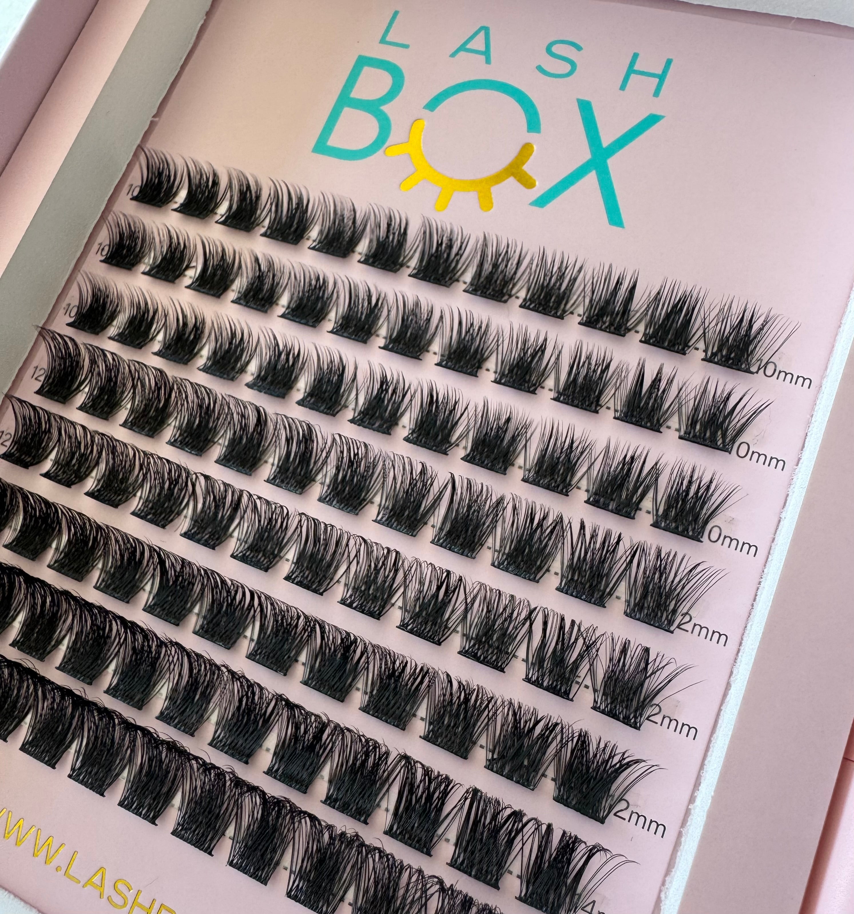Lashbox DIY / Cluster/ Segment lashes Home Kit-Style 11