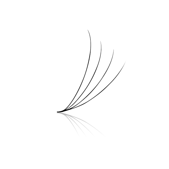 PRO-MADE 4D FANS- C CURL 0.07 LOOSE 500 /1000 Fans