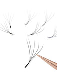 5D W Lash C/CC CURL 0.07 16 LINES