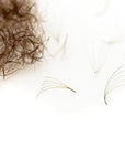 4D/6D 0.07 pro-made lashes - Dark brown